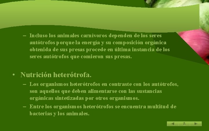 – Incluso los animales carnívoros dependen de los seres autótrofos porque la energía y