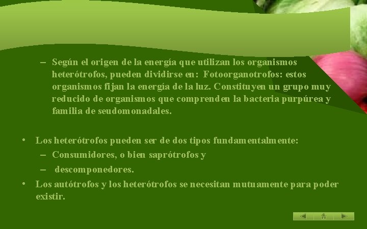 – Según el origen de la energía que utilizan los organismos heterótrofos, pueden dividirse