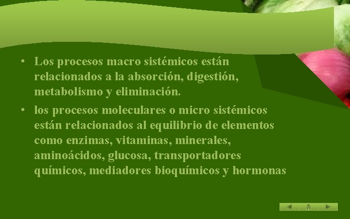  • Los procesos macro sistémicos están relacionados a la absorción, digestión, metabolismo y