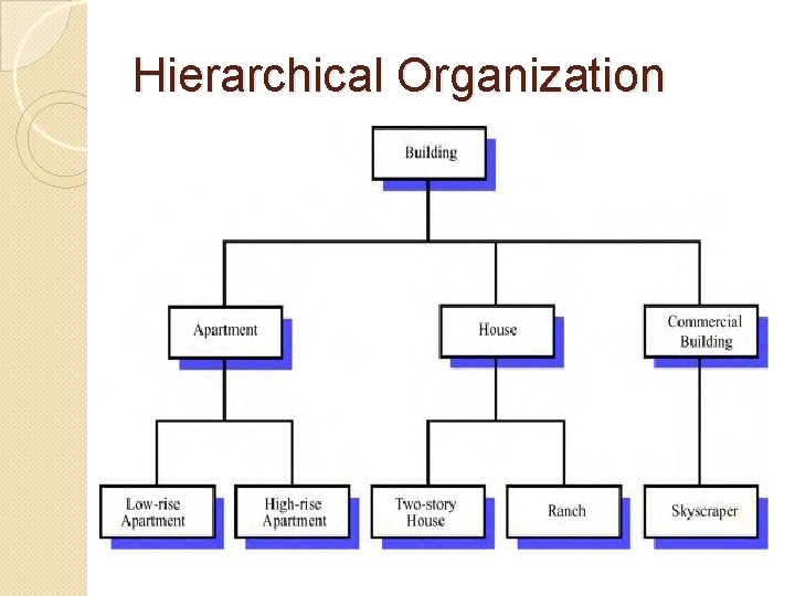 Hierarchical Organization 