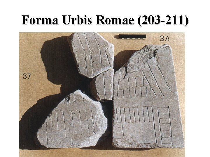 Forma Urbis Romae (203 -211) 