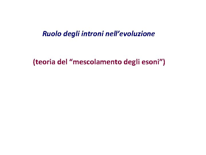 Ruolo degli introni nell’evoluzione (teoria del “mescolamento degli esoni”) Ruolo degli introni nell’evoluzione (teoria del “mescolamento degli esoni”)