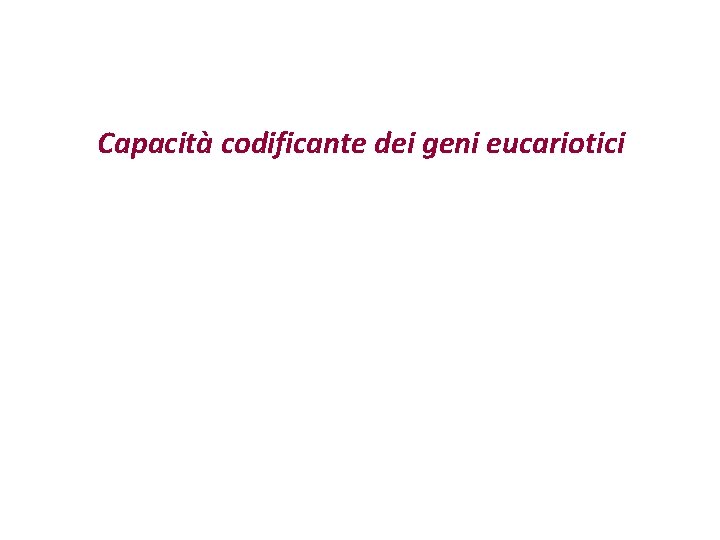 Capacità codificante dei geni eucariotici Capacità codificante dei geni eucariotici