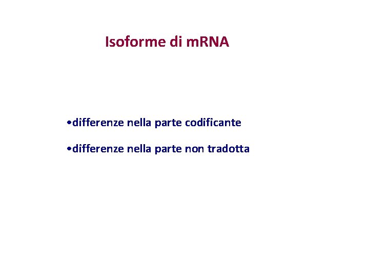 Isoforme di m. RNA • differenze nella parte codificante • differenze nella parte non Isoforme di m. RNA • differenze nella parte codificante • differenze nella parte non