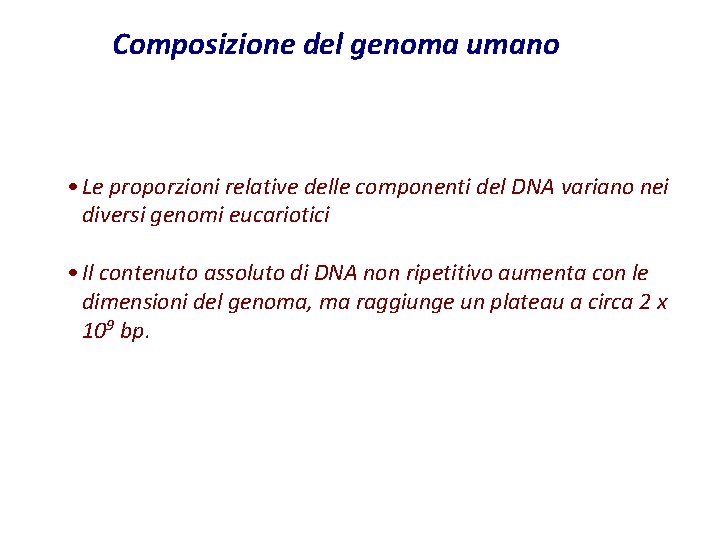Composizione del genoma umano • Le proporzioni relative delle componenti del DNA variano nei Composizione del genoma umano • Le proporzioni relative delle componenti del DNA variano nei