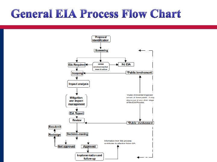 General EIA Process Flow Chart 