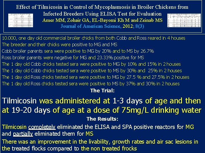 Effect of Tilmicosin in Control of Mycoplasmosis in Broiler Chickens from Infected Breeders Using Effect of Tilmicosin in Control of Mycoplasmosis in Broiler Chickens from Infected Breeders Using