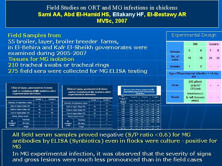 Field Studies on ORT and MG infections in chickens Sami AA, Abd El-Hamid HS, Field Studies on ORT and MG infections in chickens Sami AA, Abd El-Hamid HS,