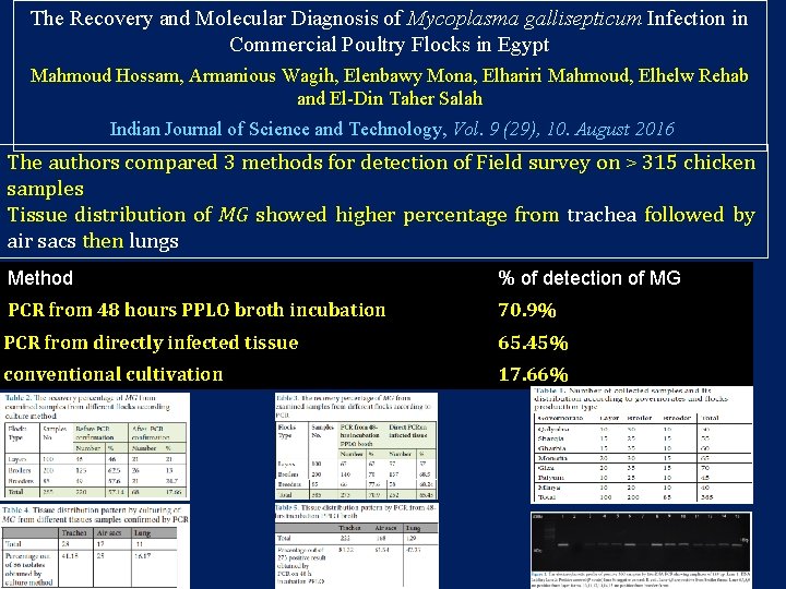 The Recovery and Molecular Diagnosis of Mycoplasma gallisepticum Infection in Commercial Poultry Flocks in The Recovery and Molecular Diagnosis of Mycoplasma gallisepticum Infection in Commercial Poultry Flocks in