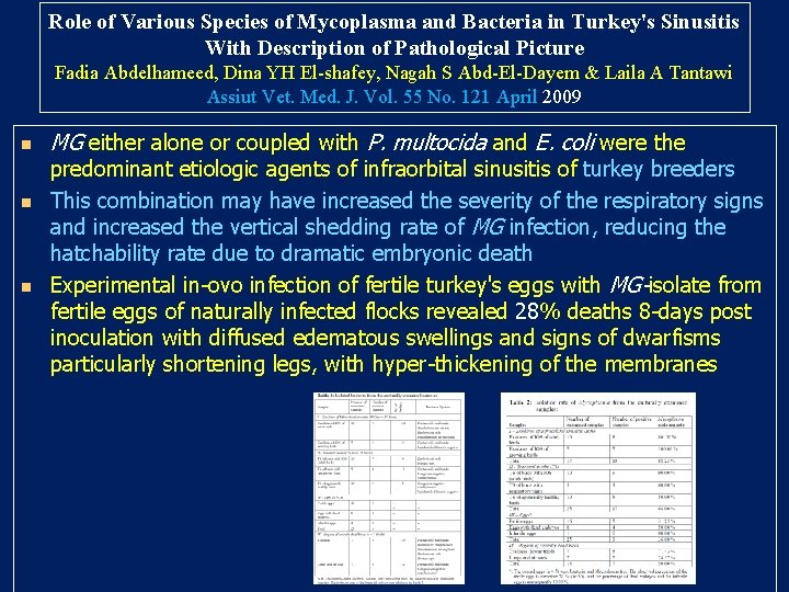Role of Various Species of Mycoplasma and Bacteria in Turkey's Sinusitis With Description of Role of Various Species of Mycoplasma and Bacteria in Turkey's Sinusitis With Description of