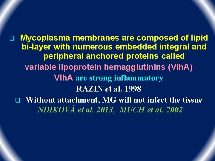 Mycoplasma membranes are composed of lipid bi-layer with numerous embedded integral and peripheral anchored Mycoplasma membranes are composed of lipid bi-layer with numerous embedded integral and peripheral anchored