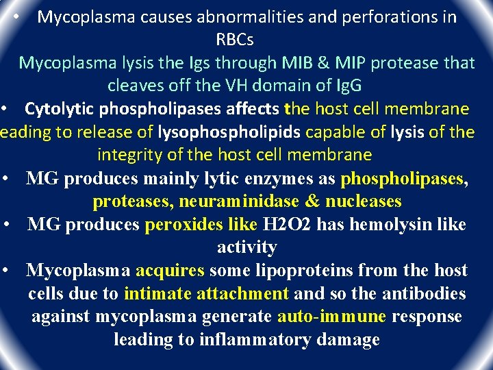 • Mycoplasma causes abnormalities and perforations in RBCs • Mycoplasma lysis the Igs • Mycoplasma causes abnormalities and perforations in RBCs • Mycoplasma lysis the Igs