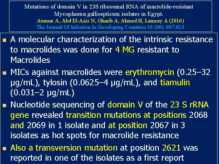 Mutations of domain V in 23 S ribosomal RNA of macrolide-resistant Mycoplasma gallisepticum isolates Mutations of domain V in 23 S ribosomal RNA of macrolide-resistant Mycoplasma gallisepticum isolates