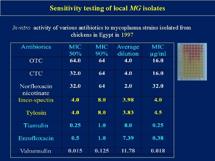 Sensitivity testing of local MG isolates In-vitro activity of various antibiotics to mycoplasma strains Sensitivity testing of local MG isolates In-vitro activity of various antibiotics to mycoplasma strains