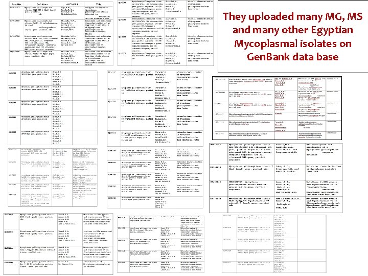 They uploaded many MG, MS and many other Egyptian Mycoplasmal isolates on Gen. Bank They uploaded many MG, MS and many other Egyptian Mycoplasmal isolates on Gen. Bank