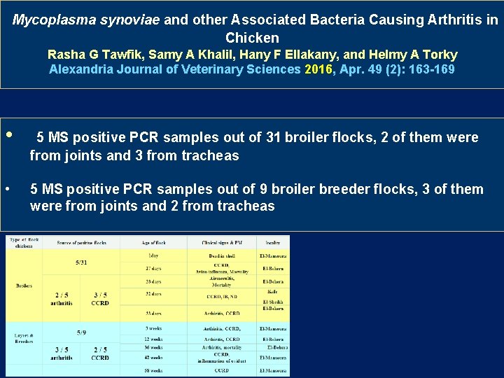 Mycoplasma synoviae and other Associated Bacteria Causing Arthritis in Chicken Rasha G Tawfik, Samy Mycoplasma synoviae and other Associated Bacteria Causing Arthritis in Chicken Rasha G Tawfik, Samy