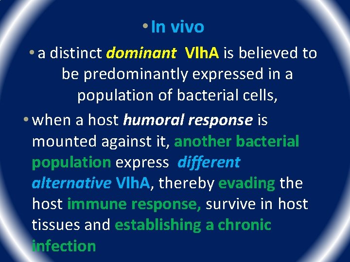 • In vivo • a distinct dominant Vlh. A is believed to be • In vivo • a distinct dominant Vlh. A is believed to be