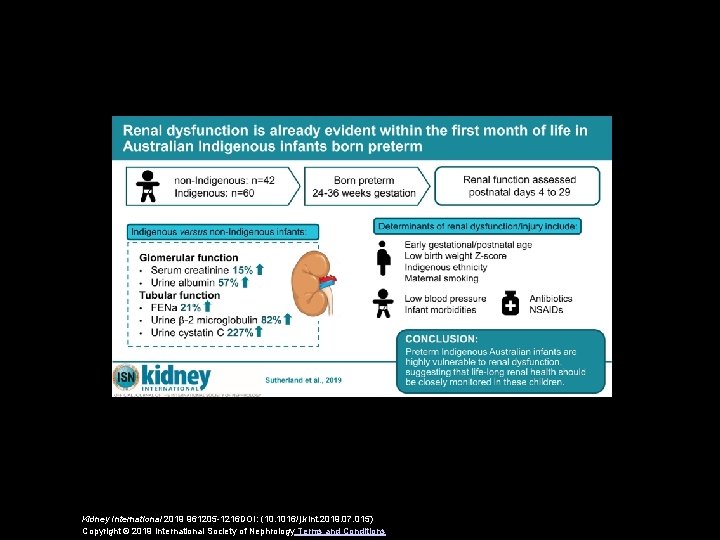 Kidney International 2019 961205 -1216 DOI: (10. 1016/j. kint. 2019. 07. 015) Copyright ©