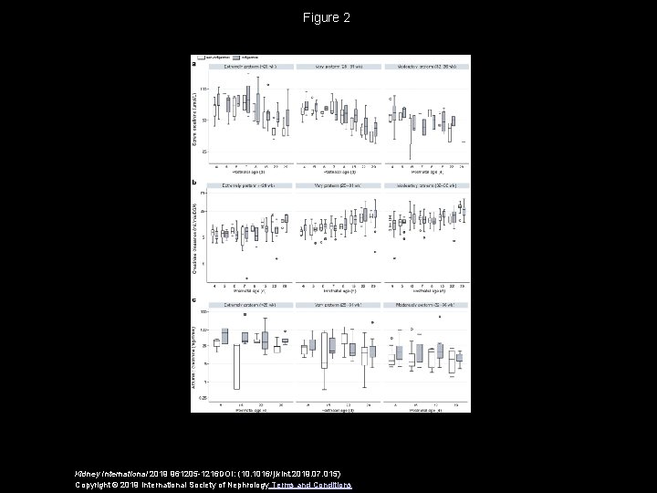 Figure 2 Kidney International 2019 961205 -1216 DOI: (10. 1016/j. kint. 2019. 07. 015)