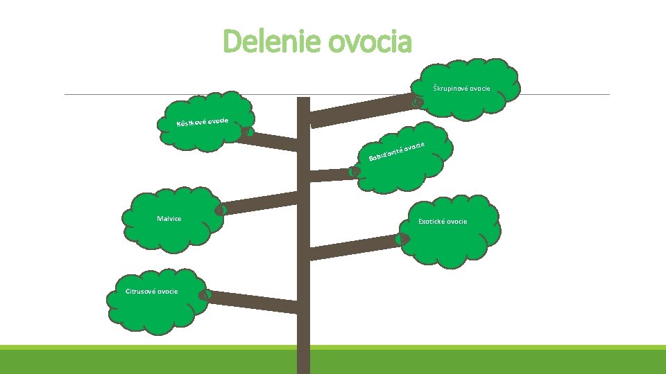  Delenie ovocia Škrupinové ovocie e Kôstkové ovoci ocie é ov ľovit Bobu Malvice