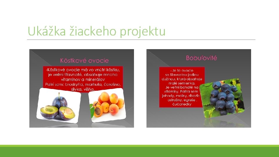 Ukážka žiackeho projektu 