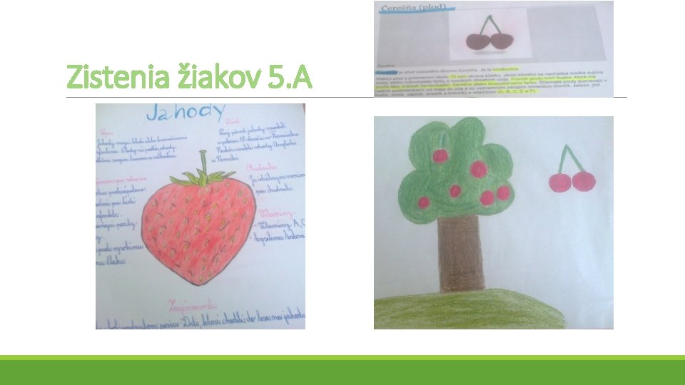 Zistenia žiakov 5. A 