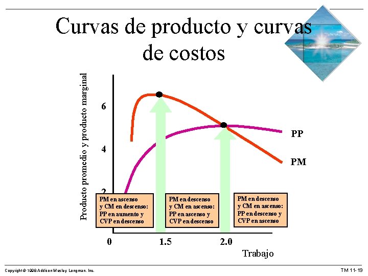 Producto promedio y producto marginal Curvas de producto y curvas de costos 6 PP