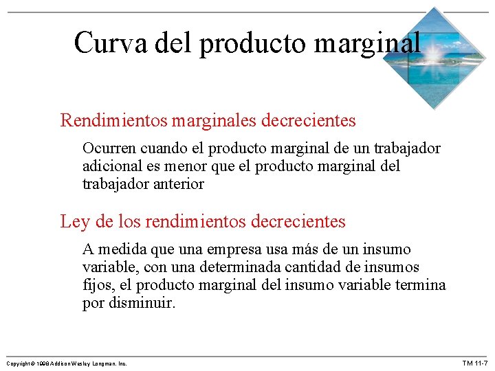 Curva del producto marginal Rendimientos marginales decrecientes Ocurren cuando el producto marginal de un