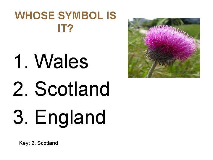 WHOSE SYMBOL IS IT? 1. Wales 2. Scotland 3. England Key: 2. Scotland 