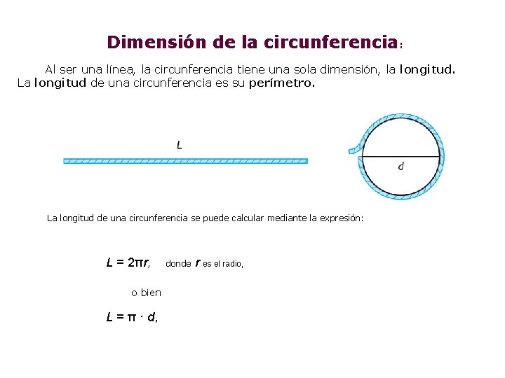 Dimensión de la circunferencia: Al ser una línea, la circunferencia tiene una sola dimensión,