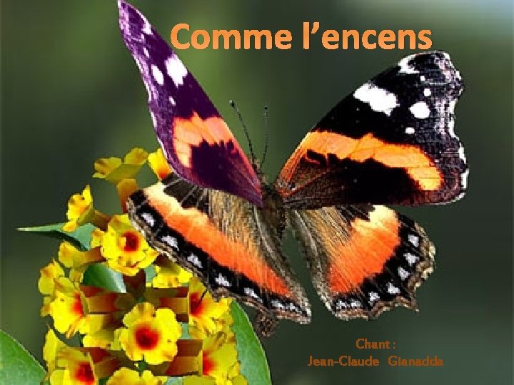 Comme l’encens Chant : Jean-Claude Gianadda 