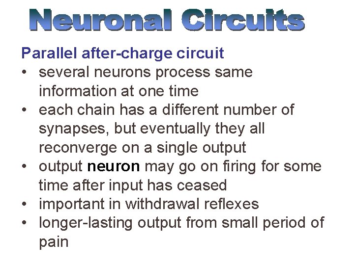 Parallel after-charge circuit • several neurons process same information at one time • each