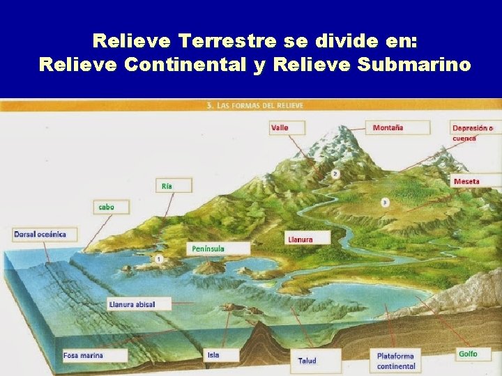 Relieve Terrestre se divide en: Relieve Continental y Relieve Submarino 