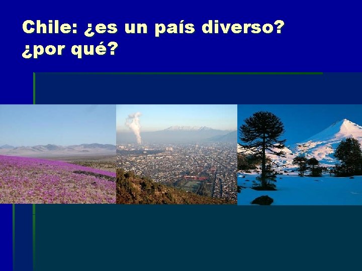 Chile: ¿es un país diverso? ¿por qué? 