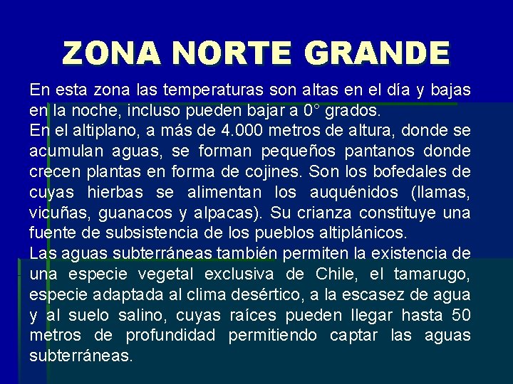 ZONA NORTE GRANDE En esta zona las temperaturas son altas en el día y