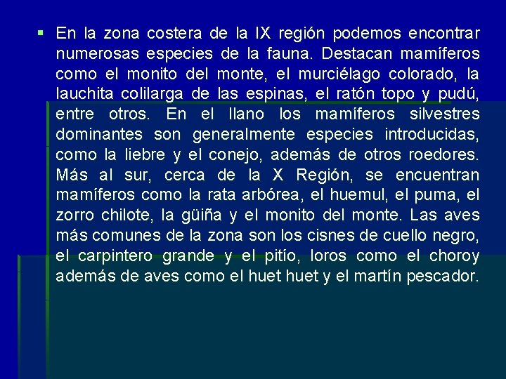 § En la zona costera de la IX región podemos encontrar numerosas especies de