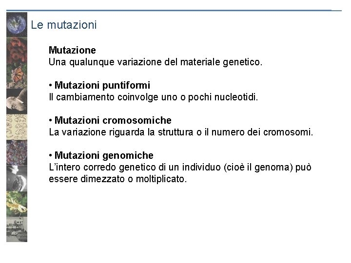 Le mutazioni Mutazione Una qualunque variazione del materiale genetico. • Mutazioni puntiformi Il cambiamento