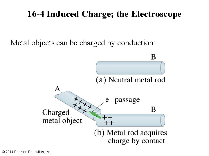 16 -4 Induced Charge; the Electroscope Metal objects can be charged by conduction: ©