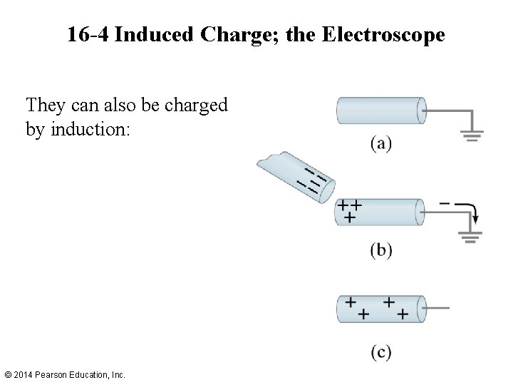 16 -4 Induced Charge; the Electroscope They can also be charged by induction: ©