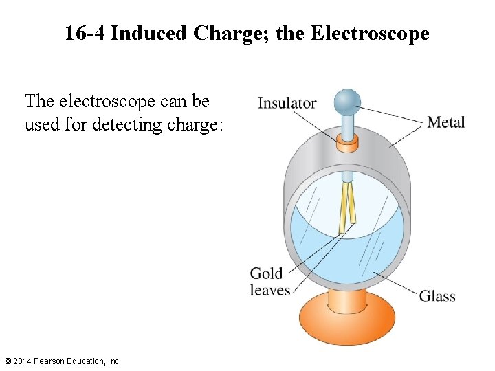 16 -4 Induced Charge; the Electroscope The electroscope can be used for detecting charge: