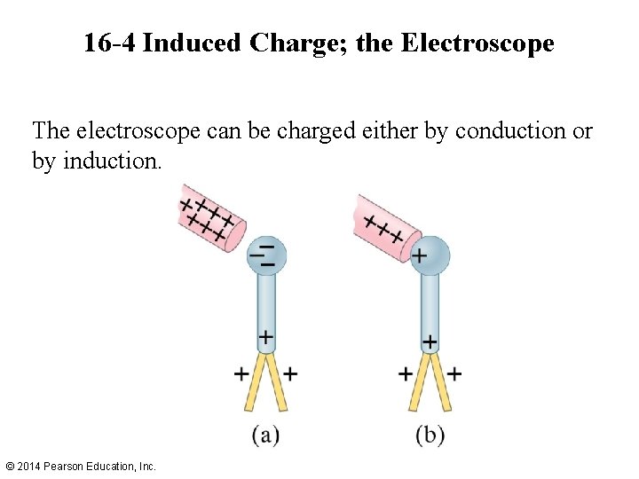 16 -4 Induced Charge; the Electroscope The electroscope can be charged either by conduction