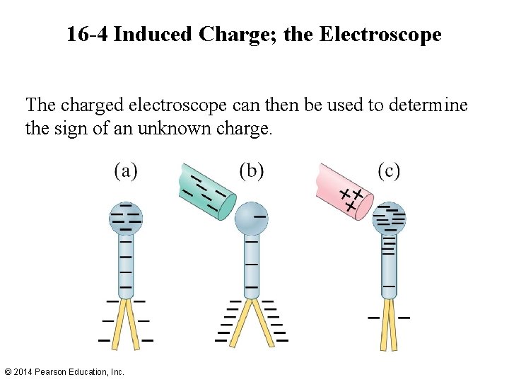 16 -4 Induced Charge; the Electroscope The charged electroscope can then be used to