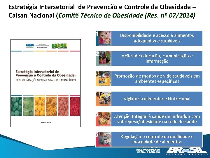 Estratégia Intersetorial de Prevenção e Controle da Obesidade – Caisan Nacional (Comitê Técnico de