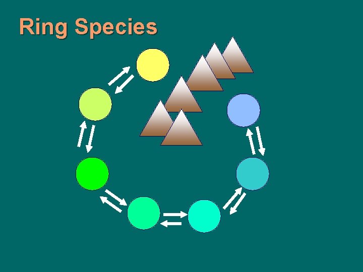 Ring Species 