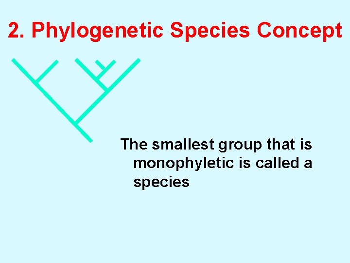 2. Phylogenetic Species Concept The smallest group that is monophyletic is called a species