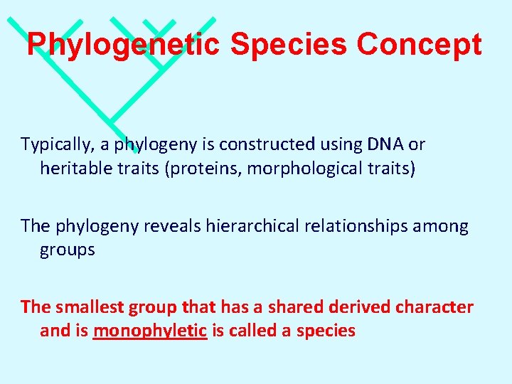 Phylogenetic Species Concept Typically, a phylogeny is constructed using DNA or heritable traits (proteins,