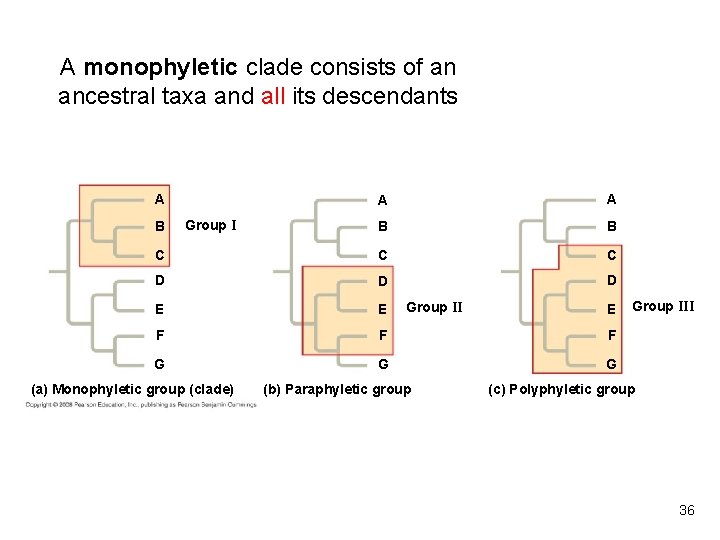 A monophyletic clade consists of an ancestral taxa and all its descendants A A