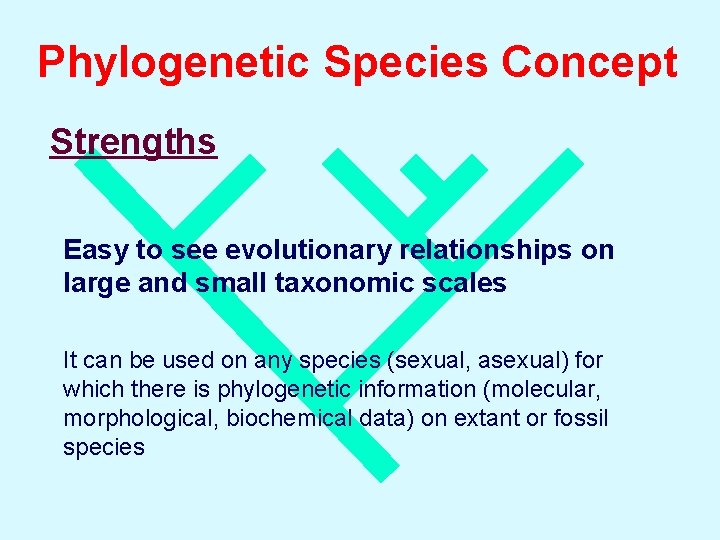 Phylogenetic Species Concept Strengths Easy to see evolutionary relationships on large and small taxonomic