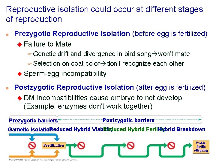 Reproductive isolation could occur at different stages of reproduction n Prezygotic Reproductive Isolation (before