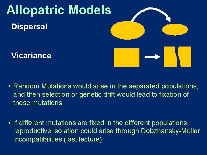 Allopatric Models Dispersal Vicariance • Random Mutations would arise in the separated populations, and